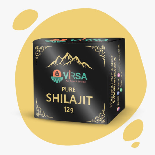 Shilajit - Pure Natural Shilajit